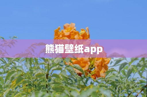 熊猫壁纸app