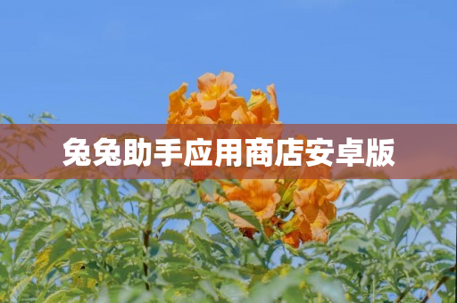 兔兔助手应用商店安卓版