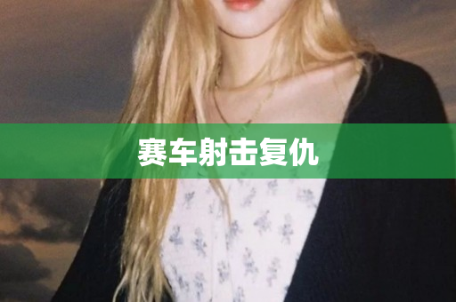 赛车射击复仇