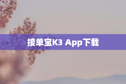 接单宝K3 App下载
