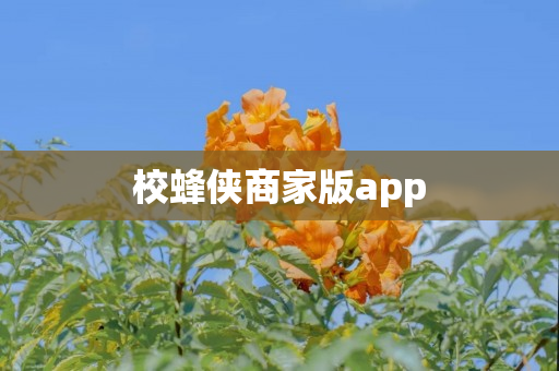 校蜂侠商家版app