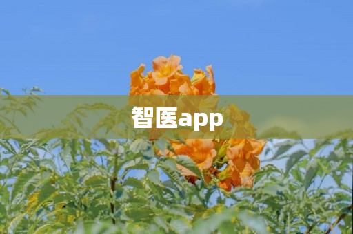 智医app