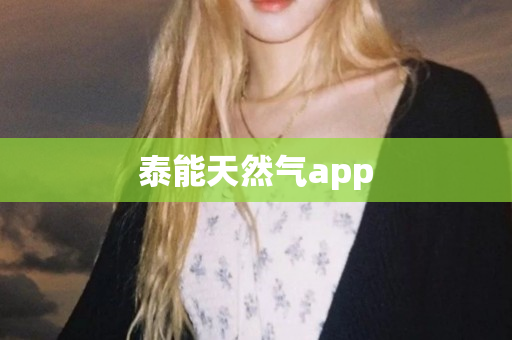 泰能天然气app