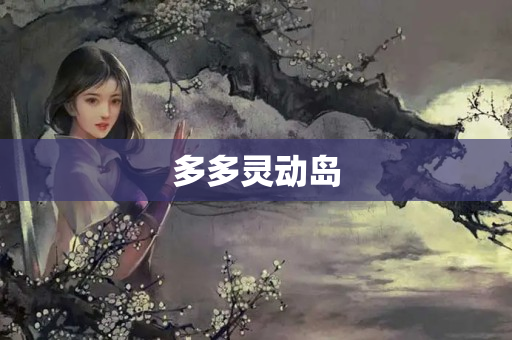 多多灵动岛