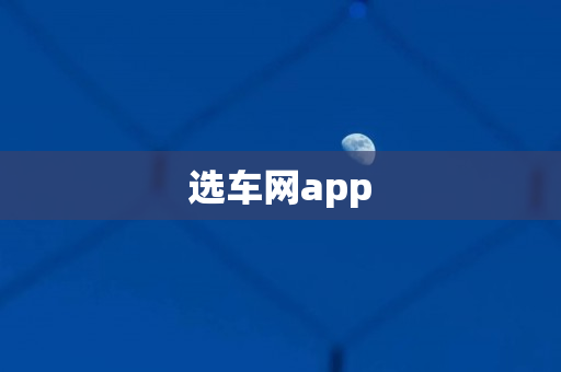 选车网app