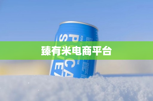 臻有米电商平台
