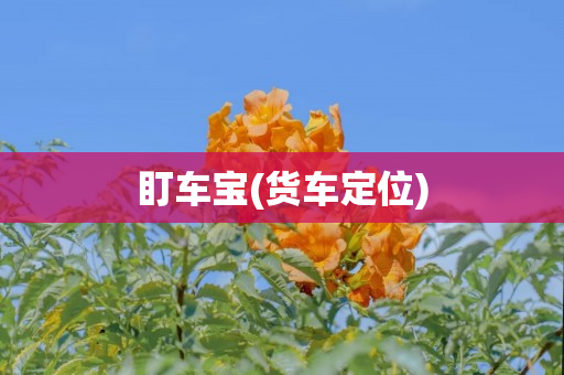 盯车宝(货车定位)