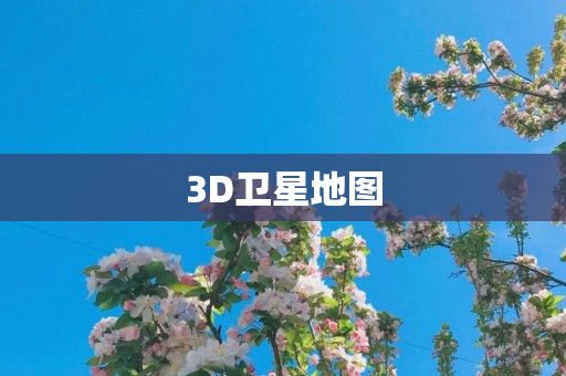 3D卫星地图