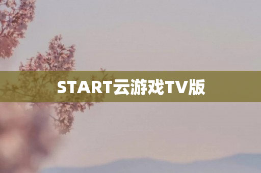 START云游戏TV版