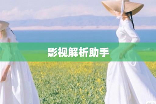 影视解析助手