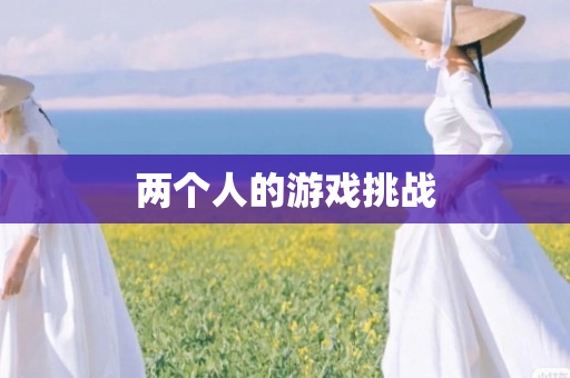 两个人的游戏挑战