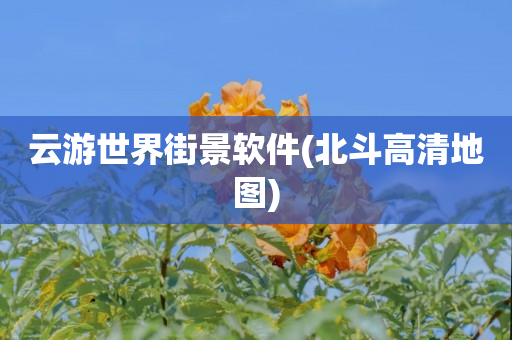 云游世界街景软件(北斗高清地图)