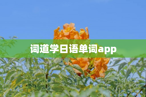 词道学日语单词app