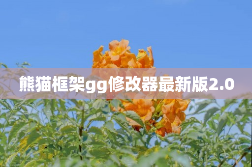 熊猫框架gg修改器最新版2.0