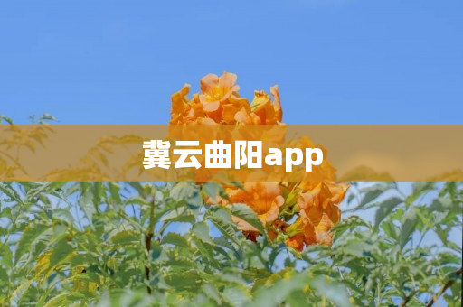 冀云曲阳app