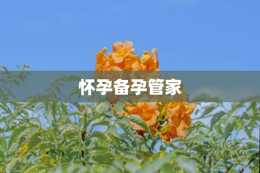 怀孕备孕管家
