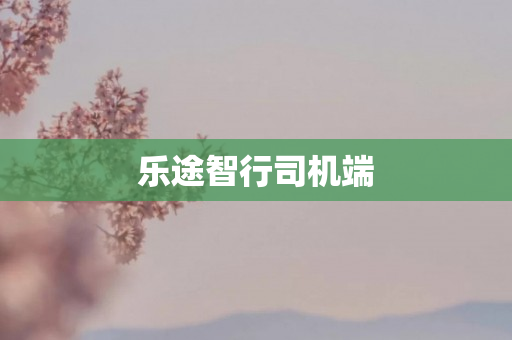 乐途智行司机端