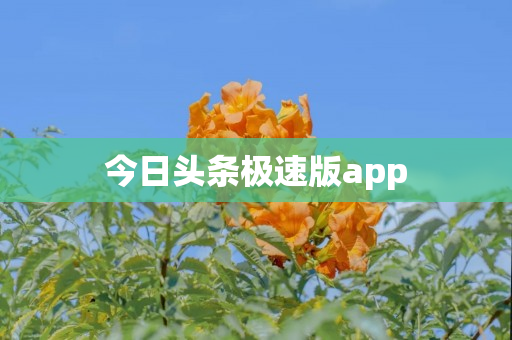 今日头条极速版app