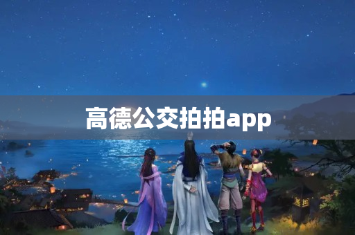 高德公交拍拍app