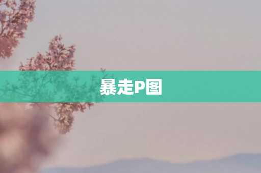 暴走P图