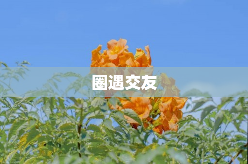 圈遇交友