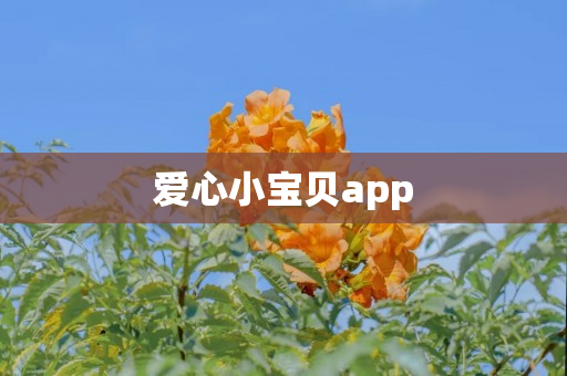 爱心小宝贝app