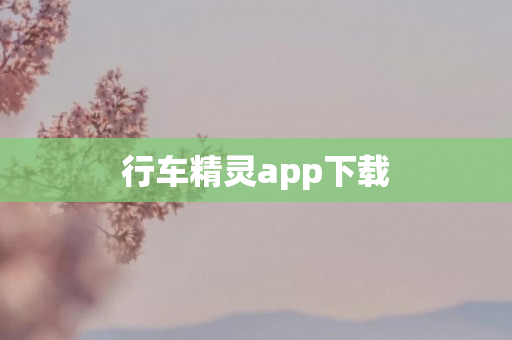 行车精灵app下载