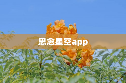 思念星空app
