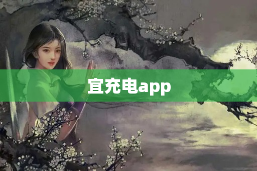 宜充电app