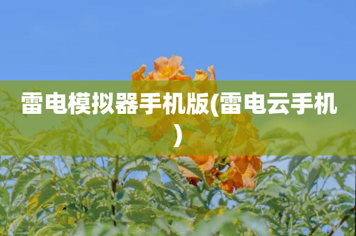 雷电模拟器手机版(雷电云手机)
