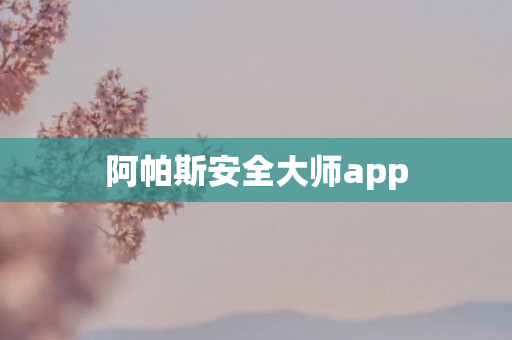 阿帕斯安全大师app
