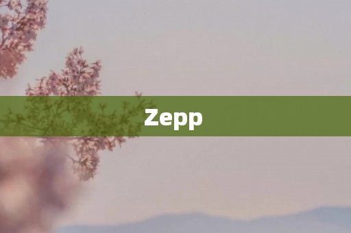 Zepp 