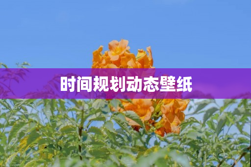 时间规划动态壁纸