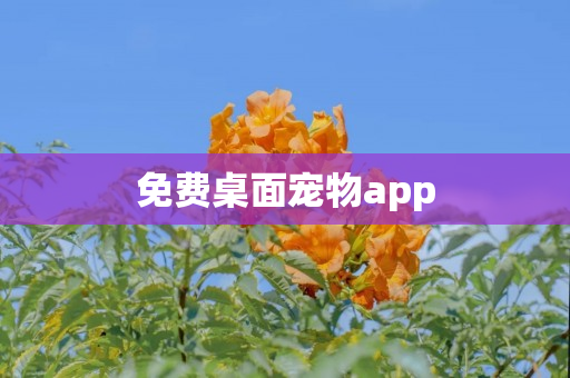 免费桌面宠物app