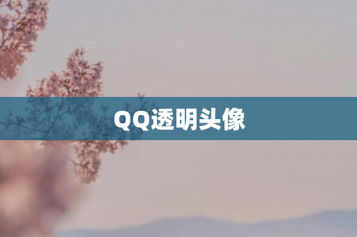 QQ透明头像