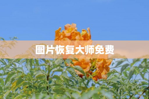 图片恢复大师免费