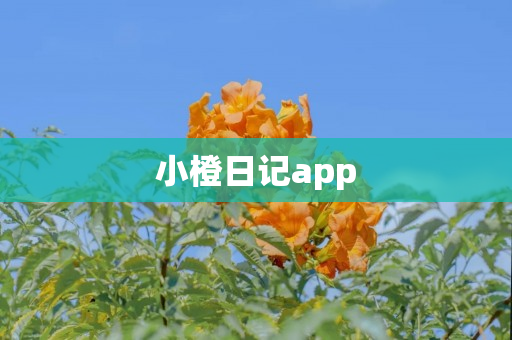 小橙日记app