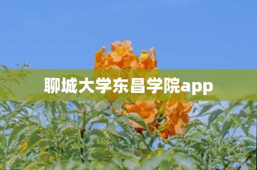 聊城大学东昌学院app