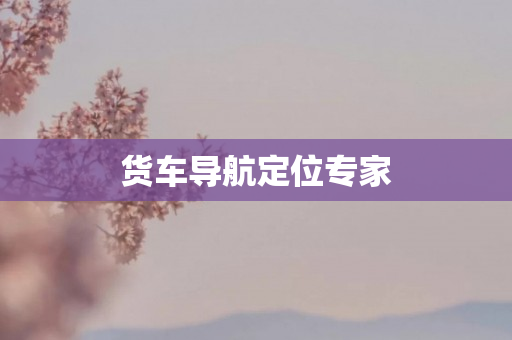 货车导航定位专家