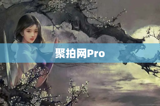 聚拍网Pro