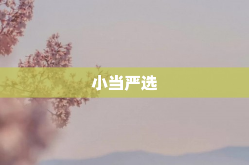 小当严选