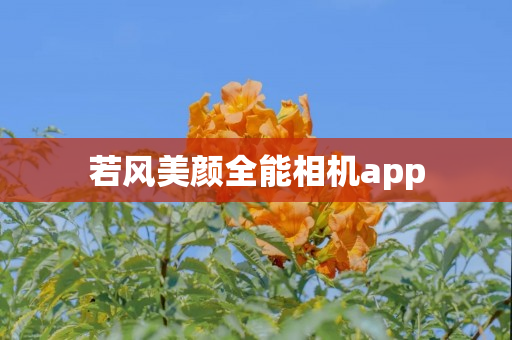 若风美颜全能相机app