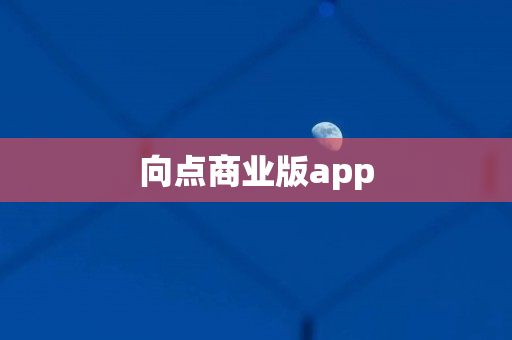 向点商业版app