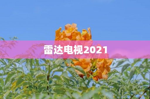 雷达电视2021