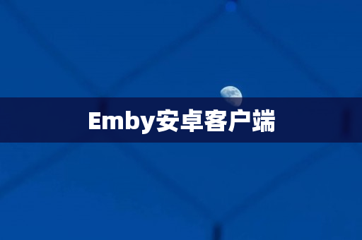 Emby安卓客户端