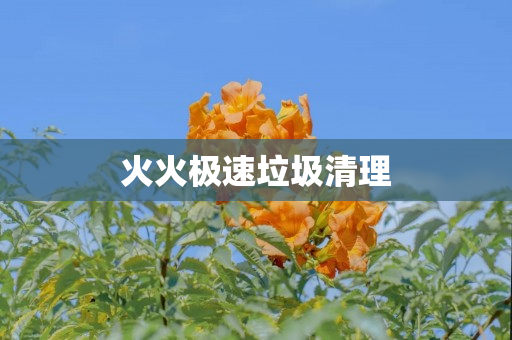 火火极速垃圾清理