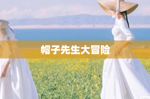 帽子先生大冒险