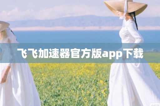 飞飞加速器官方版app下载