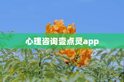 心理咨询壹点灵app