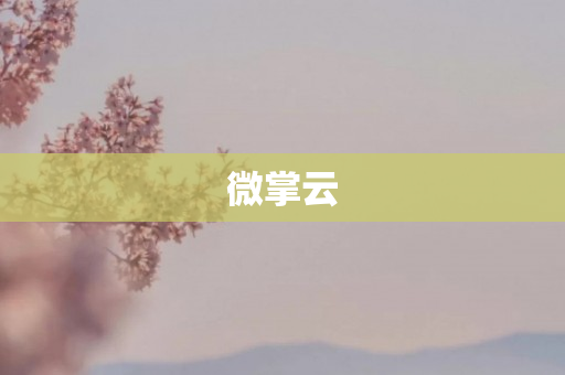 微掌云